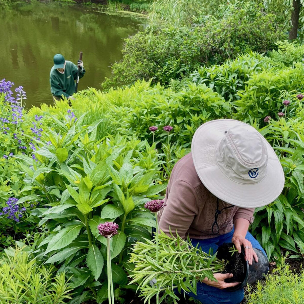 Sustainable Landscaping at Mount Auburn Cemetery <span class="mmes-shared-tag">Shared From Cooler Concord</span>